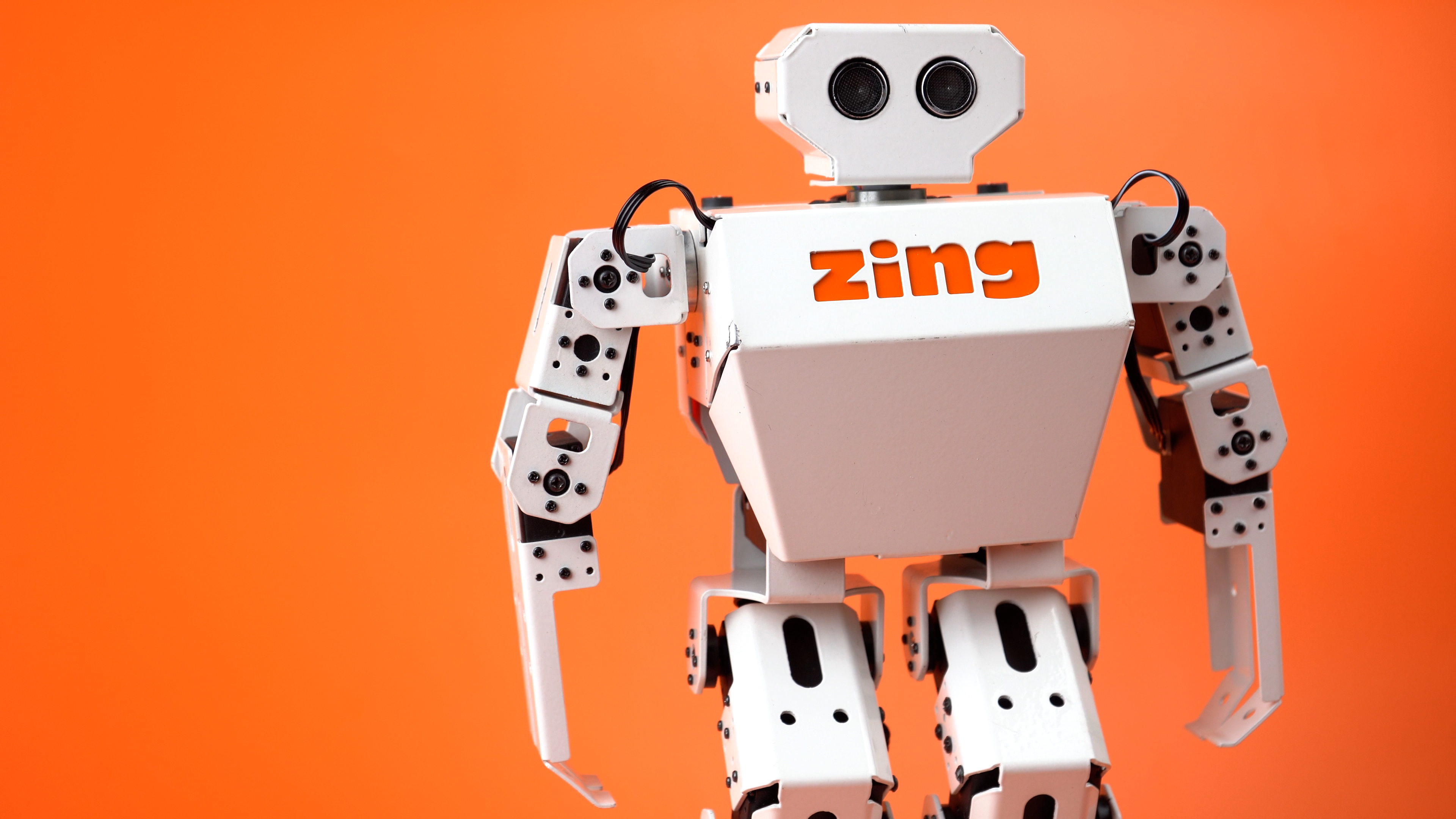 Zing humanoid robot — front view