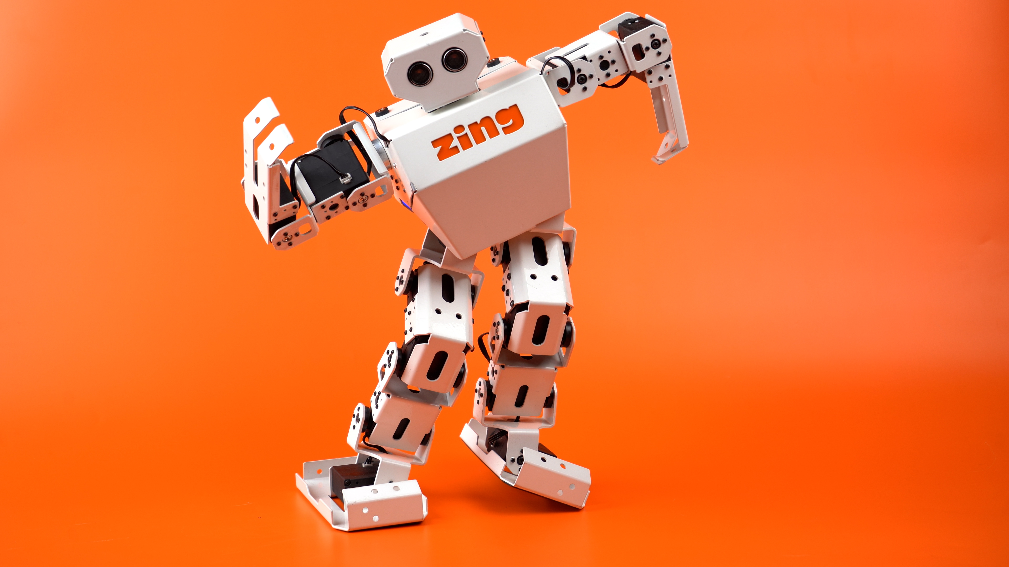 Zing humanoid robot in action