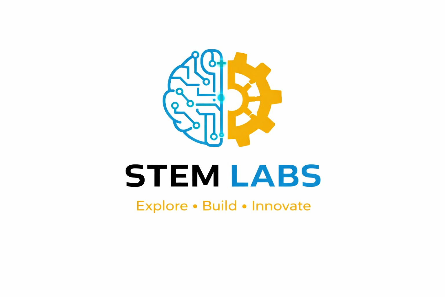 STEM LABS Logo