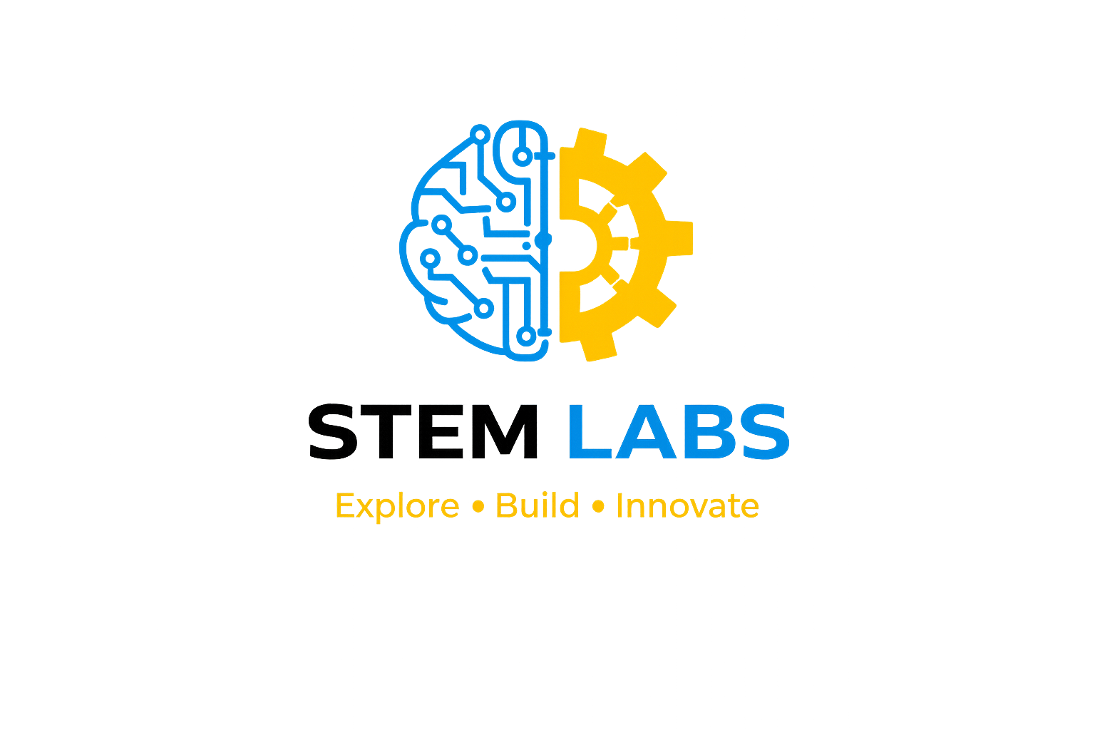 STEM LABS Logo